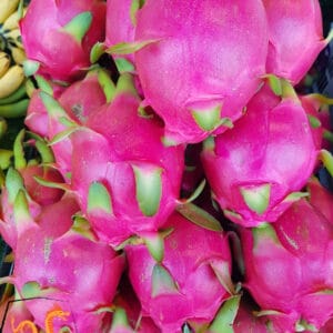 แก้วมังกรเวียดนาม แก้วมังกรสีขาว แก้วมังกรเนื้อขาว แก้วมังกรสีแดง dragon fruit ผลไม้มงคล ผลไม้ไหว้เจ้า ผลไม้มงคล 5 อย่าง ผลไม้มงคลของจีน ผลไม้มงคลไหว้รถ ผลไม้มงคลงานแต่ง ผลไม้ไหว้เจ้าที่ ผลไม้ไหว้ ผลไม้ไหว้เชงเม้ง ผลไม้ไหว้เจ้ามีอะไรบ้าง